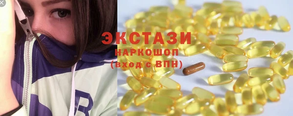 СК Сосновый Бор