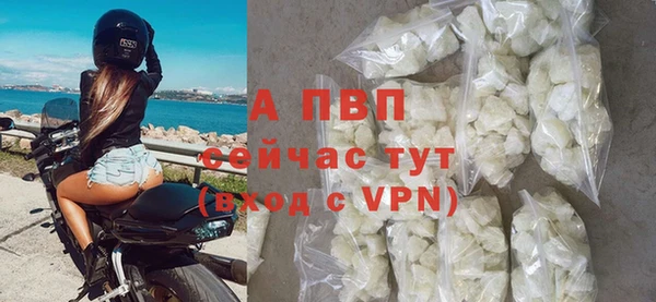 эйфоретик Сосновоборск