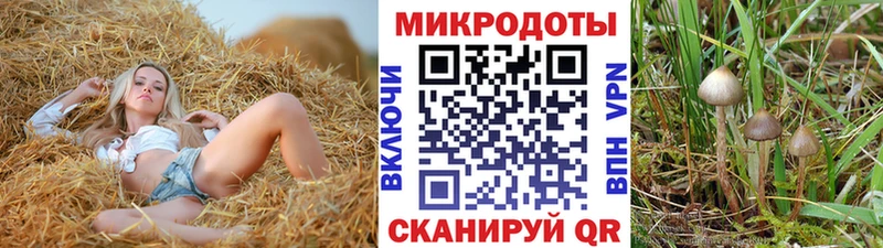 наркошоп  Оса  Псилоцибиновые грибы Psilocybine cubensis 